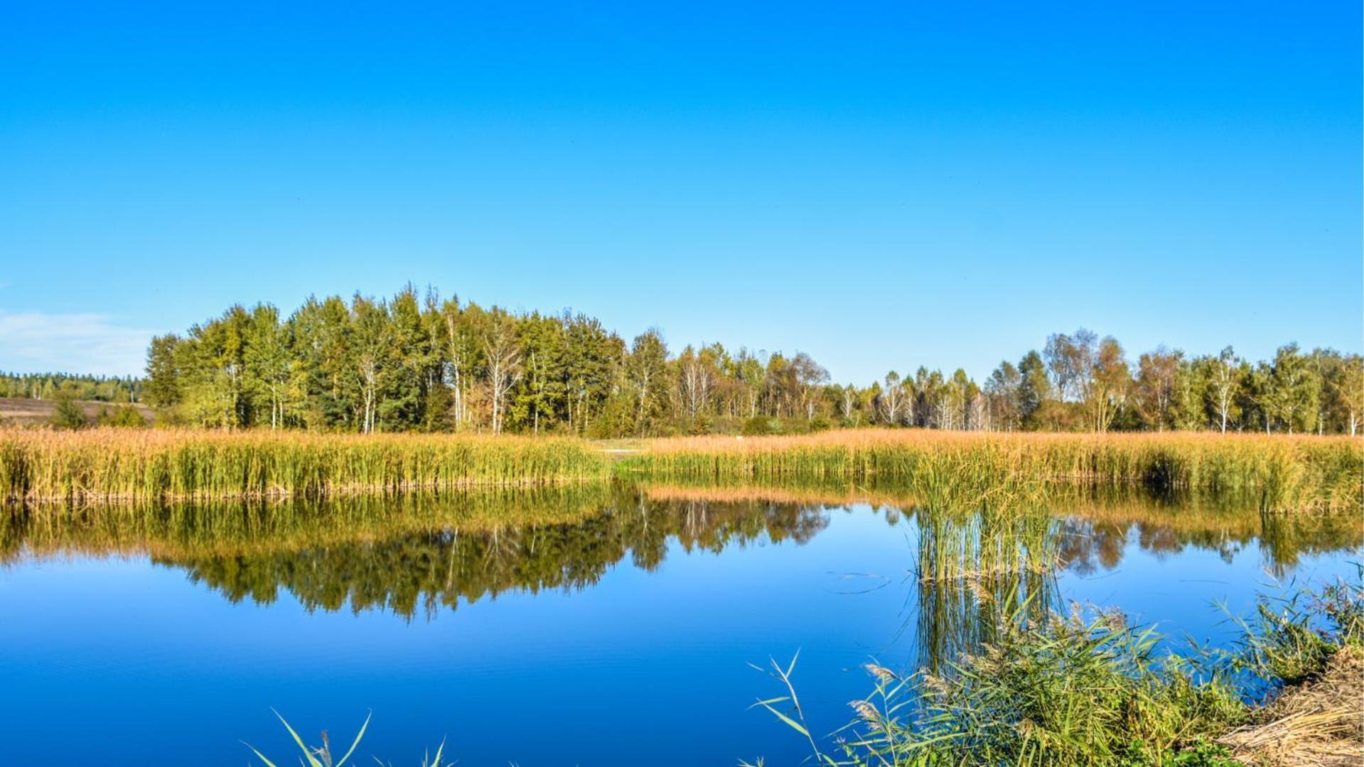 Sherwood Lake Hotel Berezovka  外观 照片